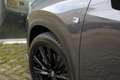 Lexus NX 450h+ Plug-in Hybride AWD F-SPORT I Applecarplay I Garan Gris - thumbnail 13