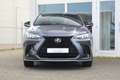 Lexus NX 450h+ Plug-in Hybride AWD F-SPORT I Applecarplay I Garan Gris - thumbnail 3