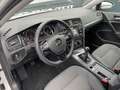 Volkswagen Golf Comfortline Weiß - thumbnail 15