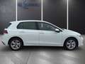 Volkswagen Golf 8 VIII Life 1.5 eTSI ACC Apple CarPlay Weiß - thumbnail 3