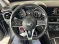 Alfa Romeo Stelvio Stelvio 2.2  Business Q4 180cv auto Gris - thumbnail 9