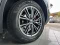 Alfa Romeo Stelvio Stelvio 2.2  Business Q4 180cv auto Gris - thumbnail 6