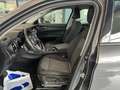Alfa Romeo Stelvio Stelvio 2.2  Business Q4 180cv auto Gris - thumbnail 14