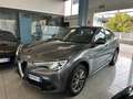 Alfa Romeo Stelvio Stelvio 2.2  Business Q4 180cv auto Gris - thumbnail 1