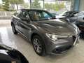 Alfa Romeo Stelvio Stelvio 2.2  Business Q4 180cv auto Gris - thumbnail 2