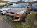Ford Kuga Titanium Braun - thumbnail 1