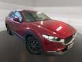 Mazda CX-30 Selection i-Activsense + Design-Paket  Leder Schwa Rosso - thumbnail 1