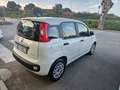 Fiat Panda Panda 1.0 firefly hybrid s Blanco - thumbnail 23