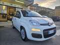 Fiat Panda Panda 1.0 firefly hybrid s Blanco - thumbnail 17