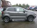 Ford EcoSport ST-Line/Alcantara/SHZG/Winterpaket/NAVI/PDC Grau - thumbnail 4