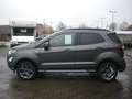 Ford EcoSport ST-Line/Alcantara/SHZG/Winterpaket/NAVI/PDC Grau - thumbnail 6