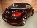 Volkswagen Beetle VW NEW 2.0 tdi110cv Sport 3p. Black - thumbnail 7