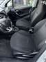 Peugeot 208 1.2 Benzina, 83cv OK per neopatentati EURO 6D TEMP Blanc - thumbnail 11