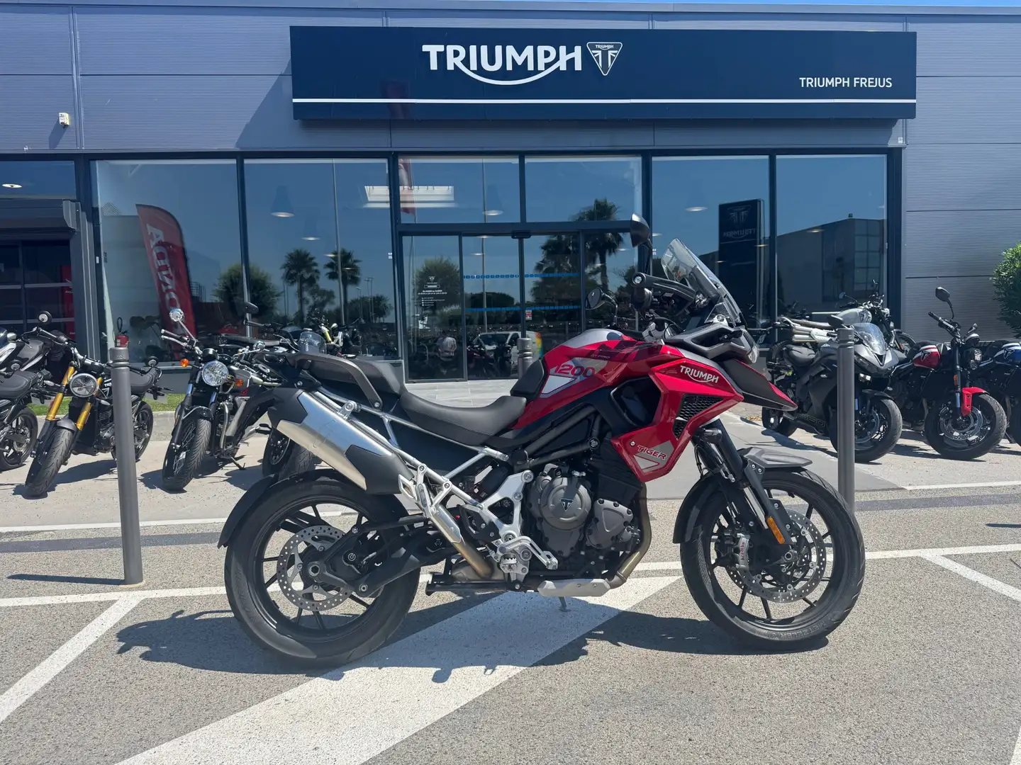 Triumph Tiger 1200 - 1