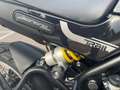 Benelli Leoncino Nero - thumbnail 5