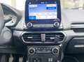Ford EcoSport 1.0 GPL 125CV E6 Neo - 2019 Gris - thumbnail 10