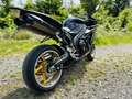 Yamaha YZF-R1 Yamaha R1 RN12 | 172 PS | Gepflegt & Fahrbereit - thumbnail 10