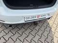 Volkswagen Golf GTI "Performance" 2.0 TSI RFK|AHK|LED|ACC Weiß - thumbnail 19