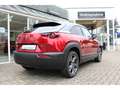 Mazda MX-30 Basis e-SKYACTIV e-SKY AD'VANTAGE NAV Rot - thumbnail 5