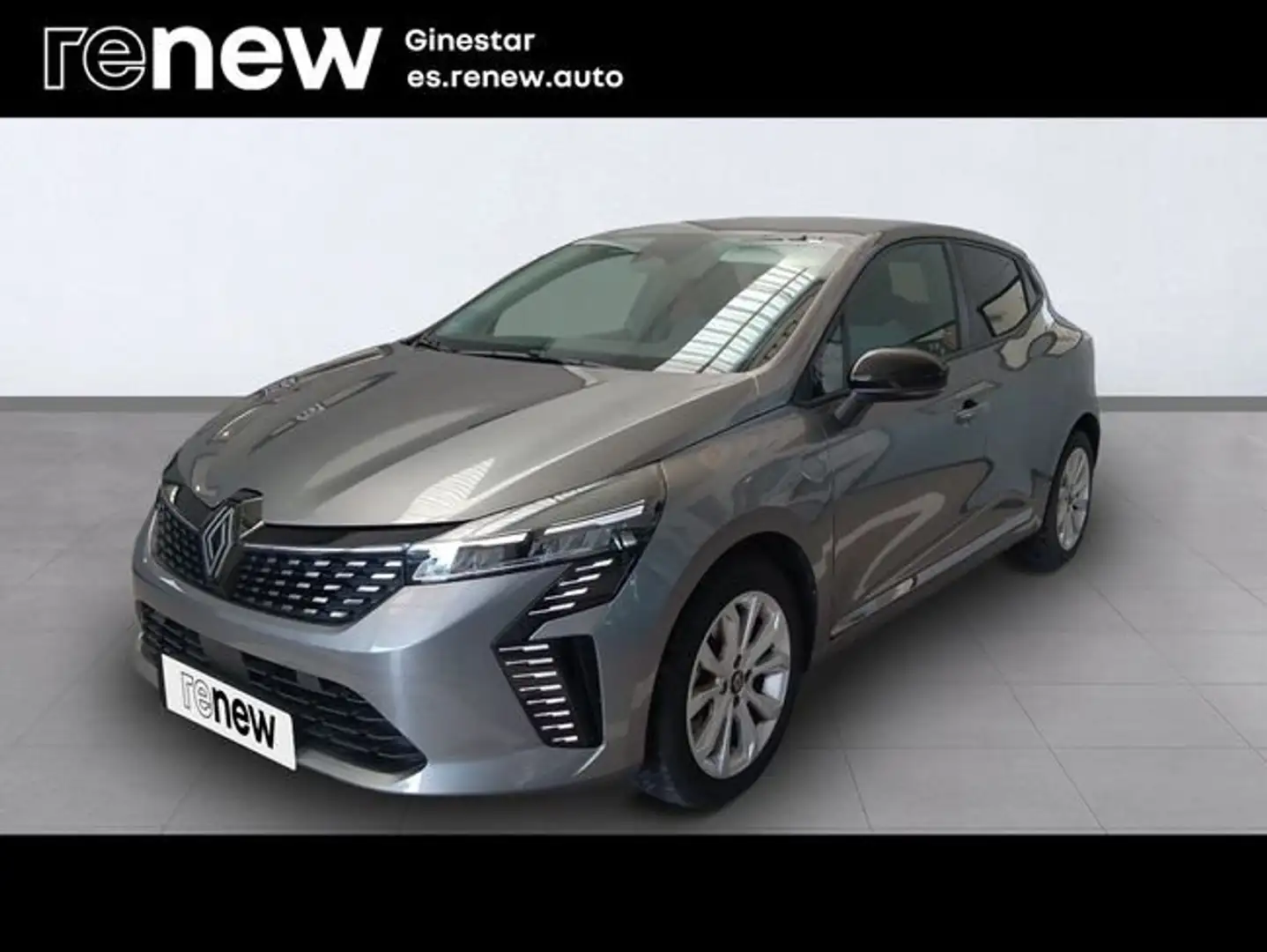 Renault Clio dCi Evolution 74kW Gris - 1