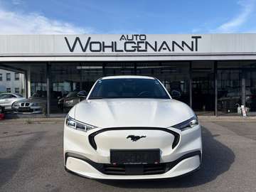 Basis AWD