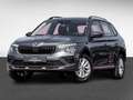 Skoda Kamiq 1.0TSI Selection PDC SHZ SMARTLINK RFK Grau - thumbnail 2