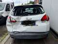 Peugeot 2008 (Incidentata) BlueHDi 75 Active neopatentati Bianco - thumbnail 9