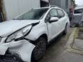 Peugeot 2008 (Incidentata) BlueHDi 75 Active neopatentati Bianco - thumbnail 1
