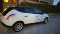 Lancia Delta Delta 1.6 mjt Platino 120cv dpf Bianco - thumbnail 8