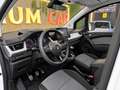 Renault Kangoo Combi 1.5dCi Blue Equilibre 70kW Blanco - thumbnail 21