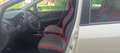 Fiat Punto Punto 5p 1.4 natural power Easy 70cv Blanco - thumbnail 9