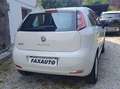Fiat Punto Punto 5p 1.4 natural power Easy 70cv Blanco - thumbnail 5