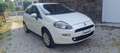 Fiat Punto Punto 5p 1.4 natural power Easy 70cv Blanco - thumbnail 8