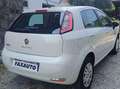 Fiat Punto Punto 5p 1.4 natural power Easy 70cv Blanco - thumbnail 6