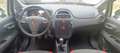 Fiat Punto Punto 5p 1.4 natural power Easy 70cv Blanco - thumbnail 12