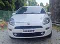 Fiat Punto Punto 5p 1.4 natural power Easy 70cv Blanco - thumbnail 1
