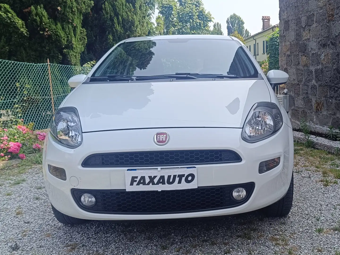 Fiat Punto Punto 5p 1.4 natural power Easy 70cv Blanco - 1