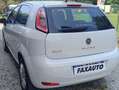 Fiat Punto Punto 5p 1.4 natural power Easy 70cv Blanco - thumbnail 4