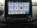 Ford EcoSport Eco Boost Titanium 1,0 125 PS Benzin Blau - thumbnail 9