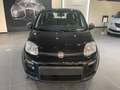 Fiat Panda 1.0 firefly hybrid s&s 70cv CON ROTTAMAZIONE Noir - thumbnail 2