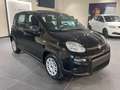 Fiat Panda 1.0 firefly hybrid s&s 70cv CON ROTTAMAZIONE Noir - thumbnail 1