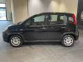 Fiat Panda 1.0 firefly hybrid s&s 70cv CON ROTTAMAZIONE Noir - thumbnail 4