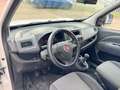 Fiat Doblo Work Up Pritsche+1.6L+Diesel+Nur 56TKM! Blanc - thumbnail 8