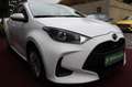Mazda 2 HYBRID PURE AUTOMATIK KLIMA NAVI KLIMA 1.Hd Білий - thumbnail 13