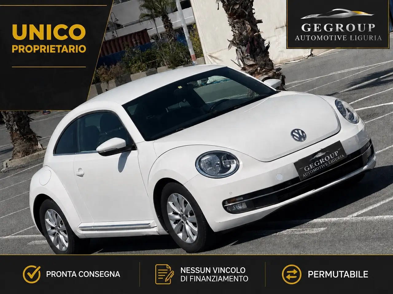 Volkswagen Maggiolino