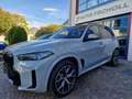 BMW X5 30d 298Cv xDrive M Sport Pro ACC HeadUp 21"OpenSky Grigio - thumbnail 1