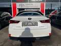 Lexus IS 300 Privilege Line Blanco - thumbnail 5