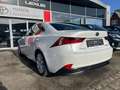 Lexus IS 300 Privilege Line Blanco - thumbnail 4
