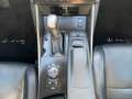 Lexus IS 300 Privilege Line Blanco - thumbnail 12