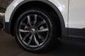 Volkswagen Tiguan Allspace Life 2.0 TDI 4Motion DSG Weiß - thumbnail 25